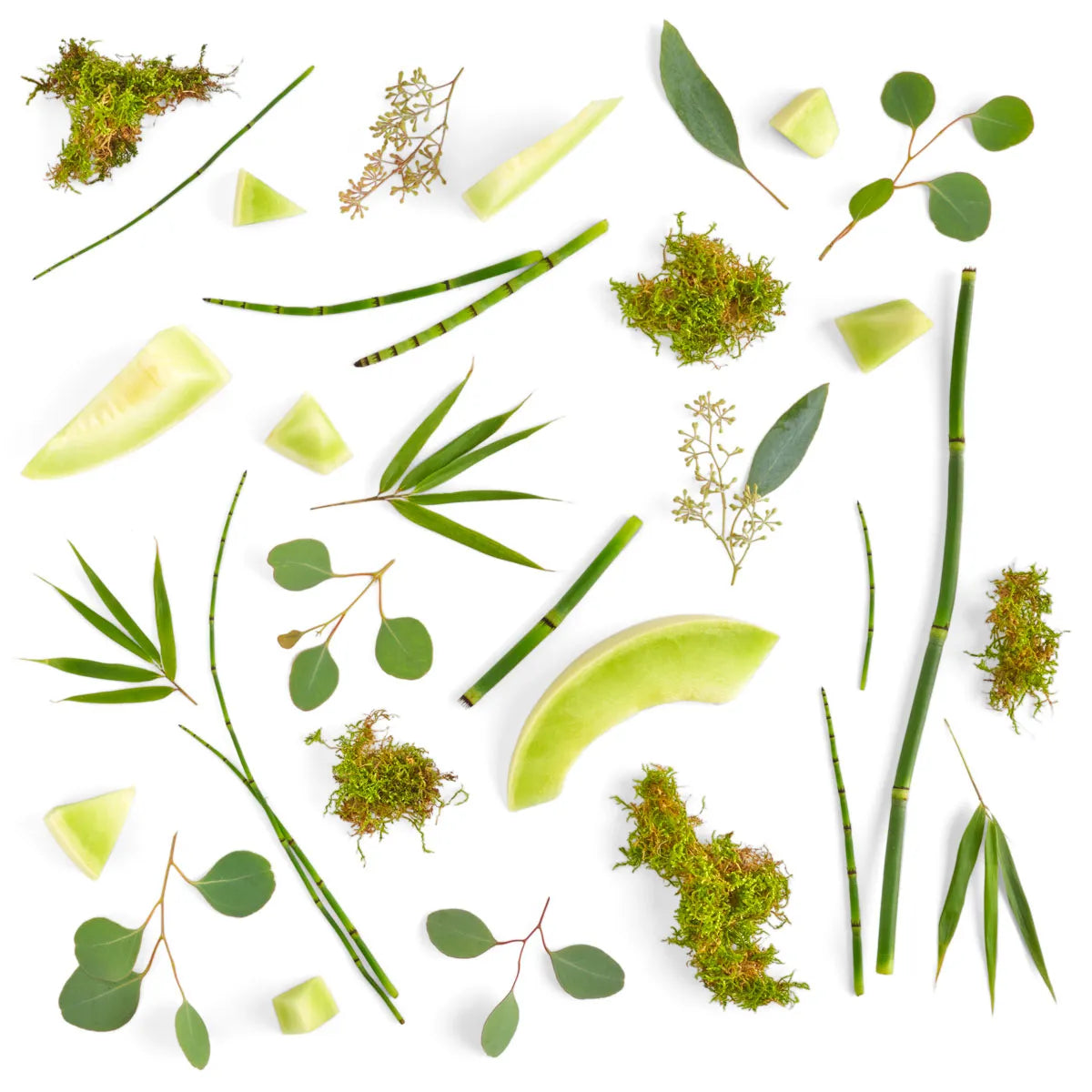 Bamboo And Moss 12oz Candle