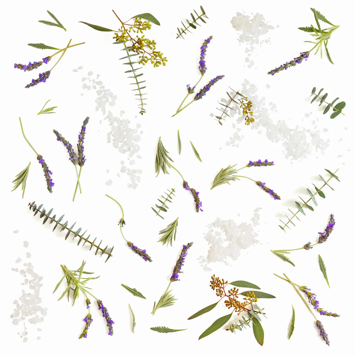 Lavender Eucalyptus 3.5oz Candle