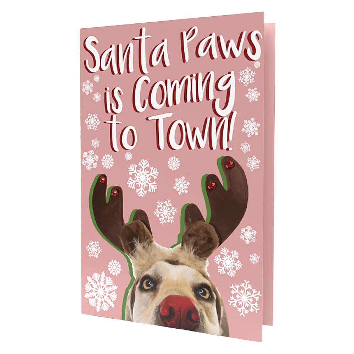 Holiday Growable Greeting Cards with Seeds