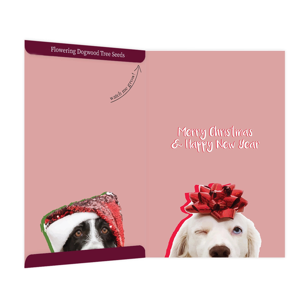 Holiday Growable Greeting Cards with Seeds