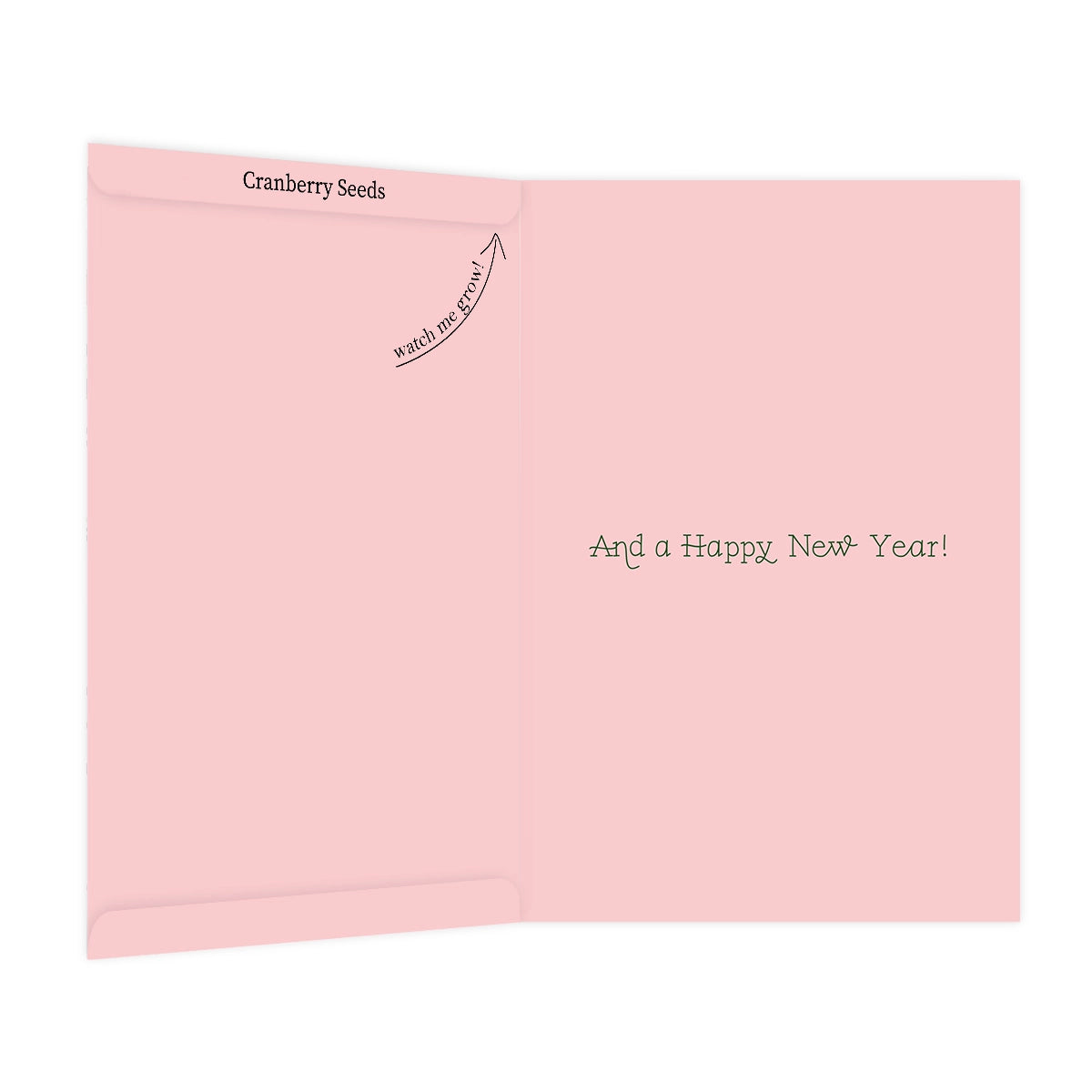 Holiday Growable Greeting Cards with Seeds