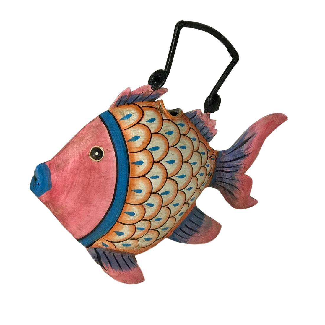 Clown Fish Plant Pals Water Can