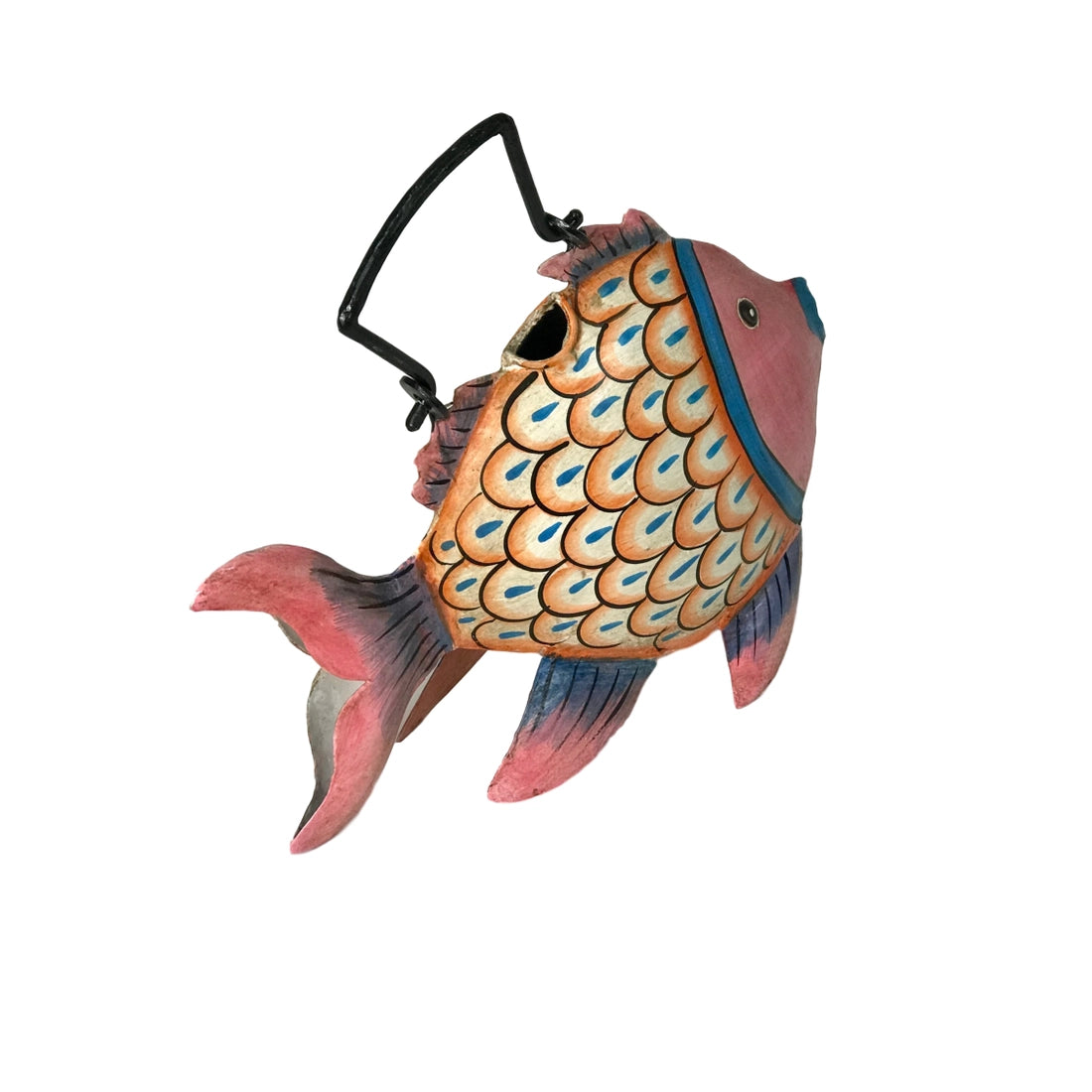Candy The Clown Fish Plant Pals Water Can