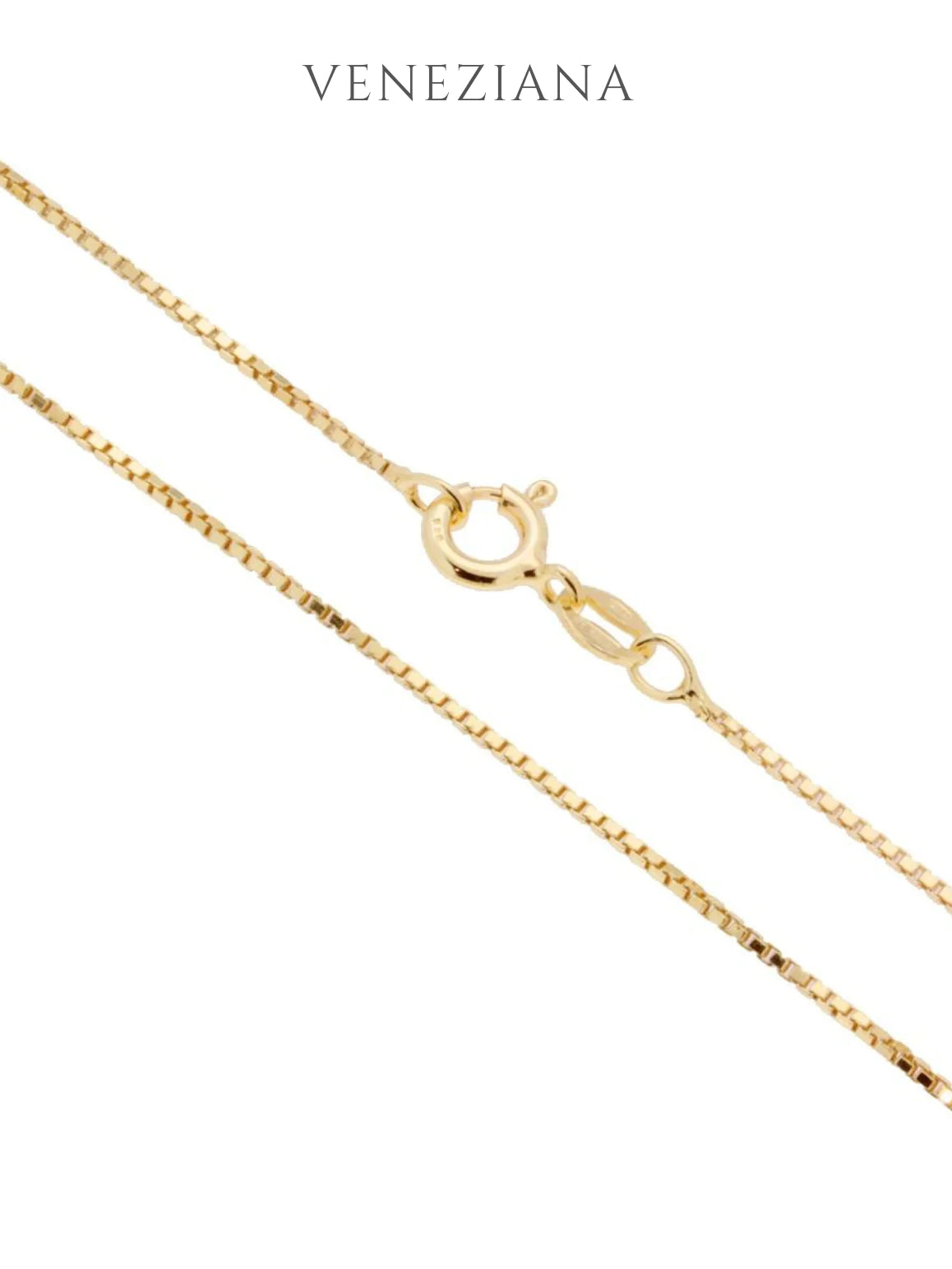 Sardegna Gold Cornicello and Diamante Madonna 17" Necklace