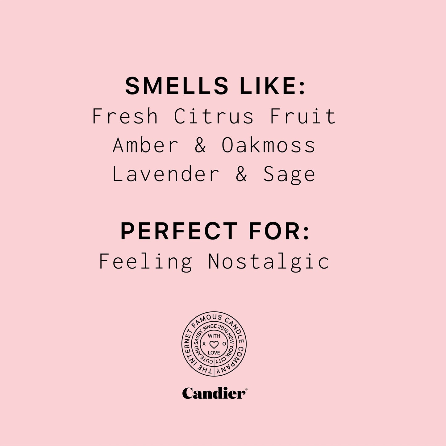 Ditched The Boyfriend Kept The Cologne Candle