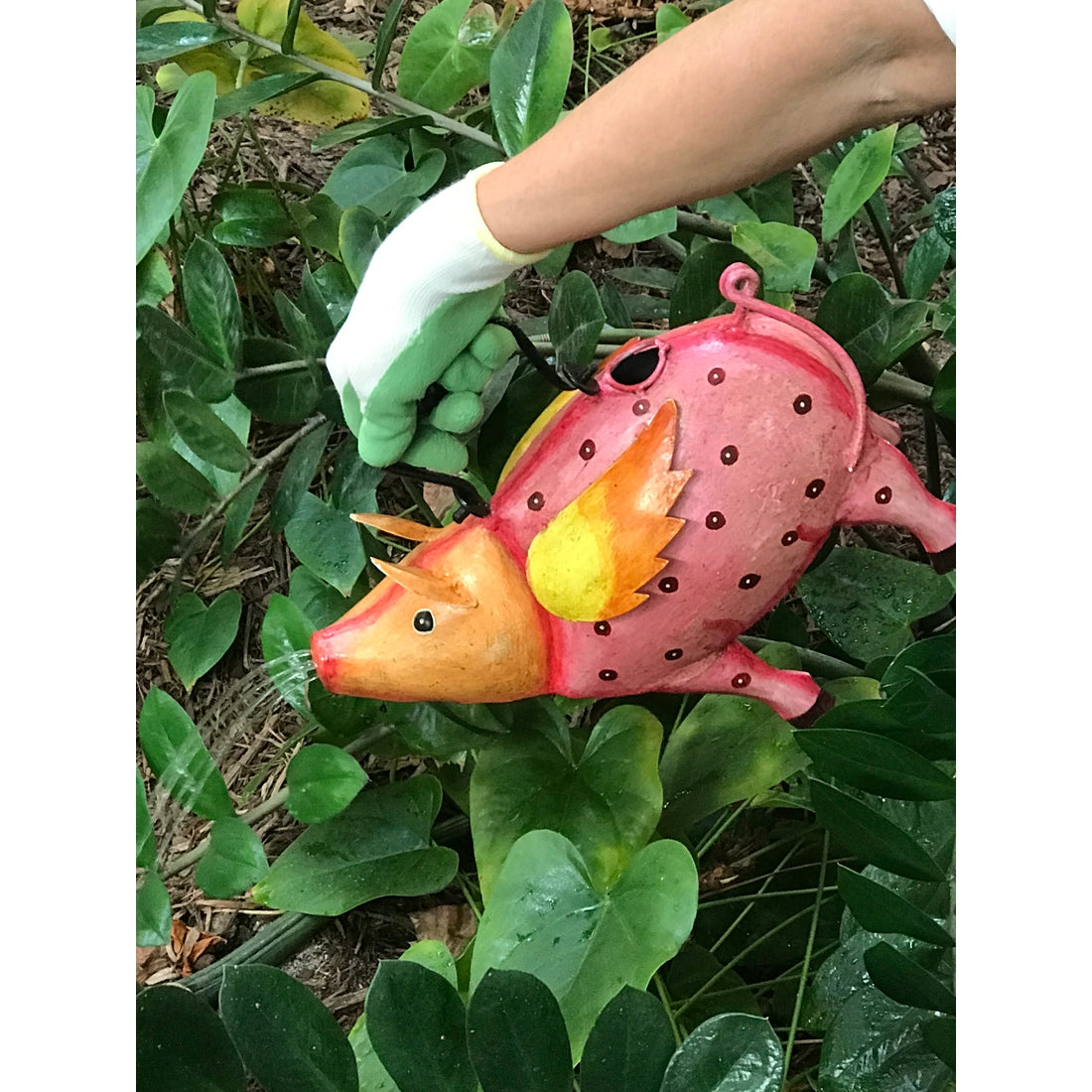 Flying Pig Plant Pals Water Can