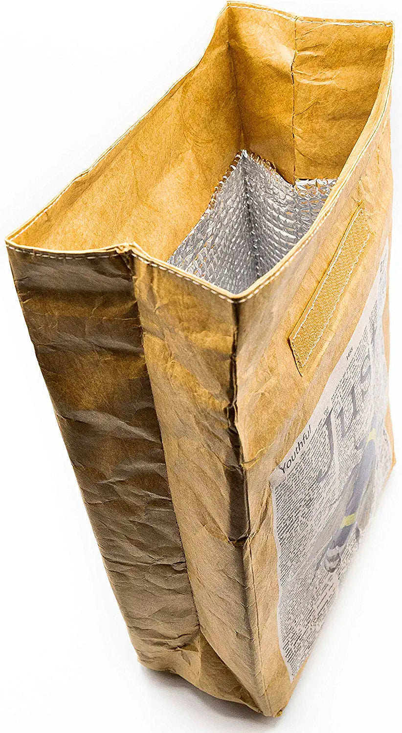 Donuts - Reusable & Insulated Tyvek Paper Kraft Art Lunch Bag – 8 hours Hot or Cold