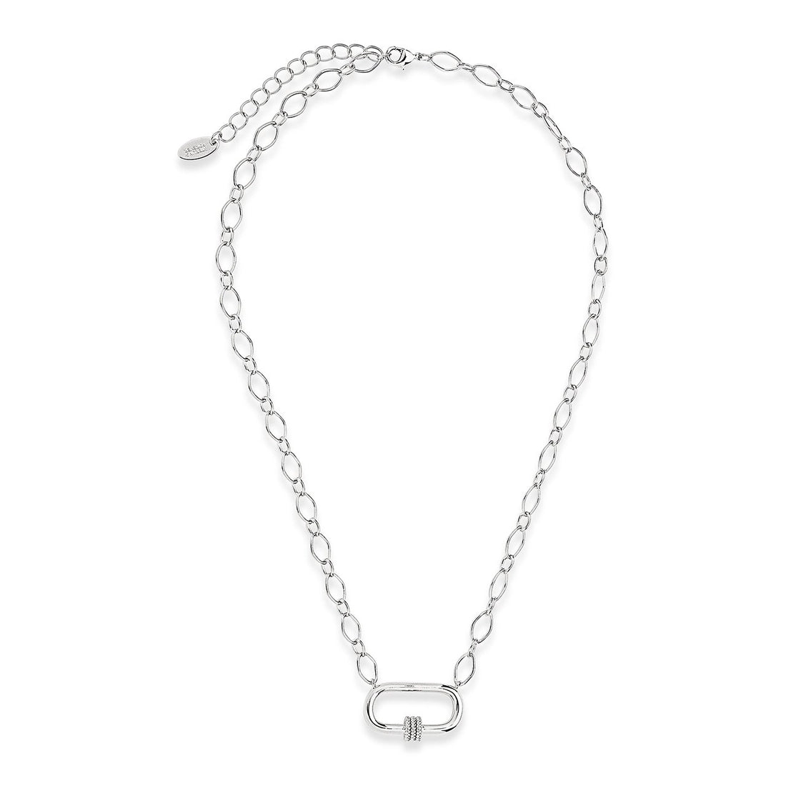 Polished Carabiner Pendant Necklace