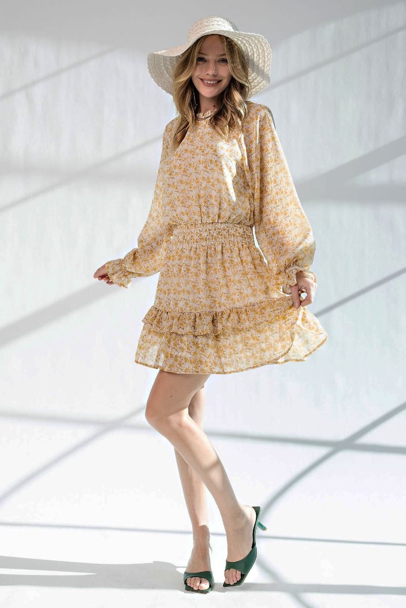 Floral Printed Chiffon Mini Dress