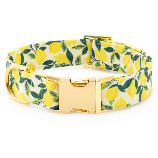 Lemon Zest Dog Collar