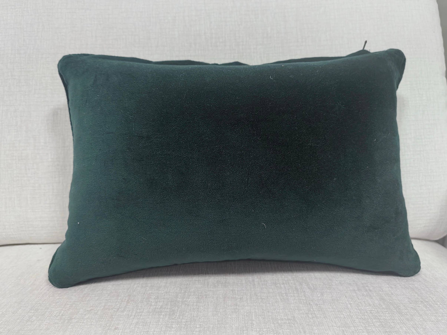 Home is Where the Dog is Needlepoint Pillow