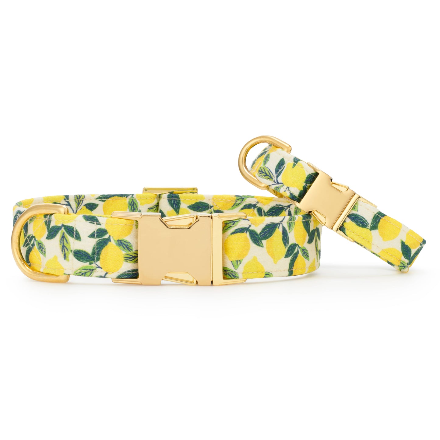 Lemon Zest Dog Collar