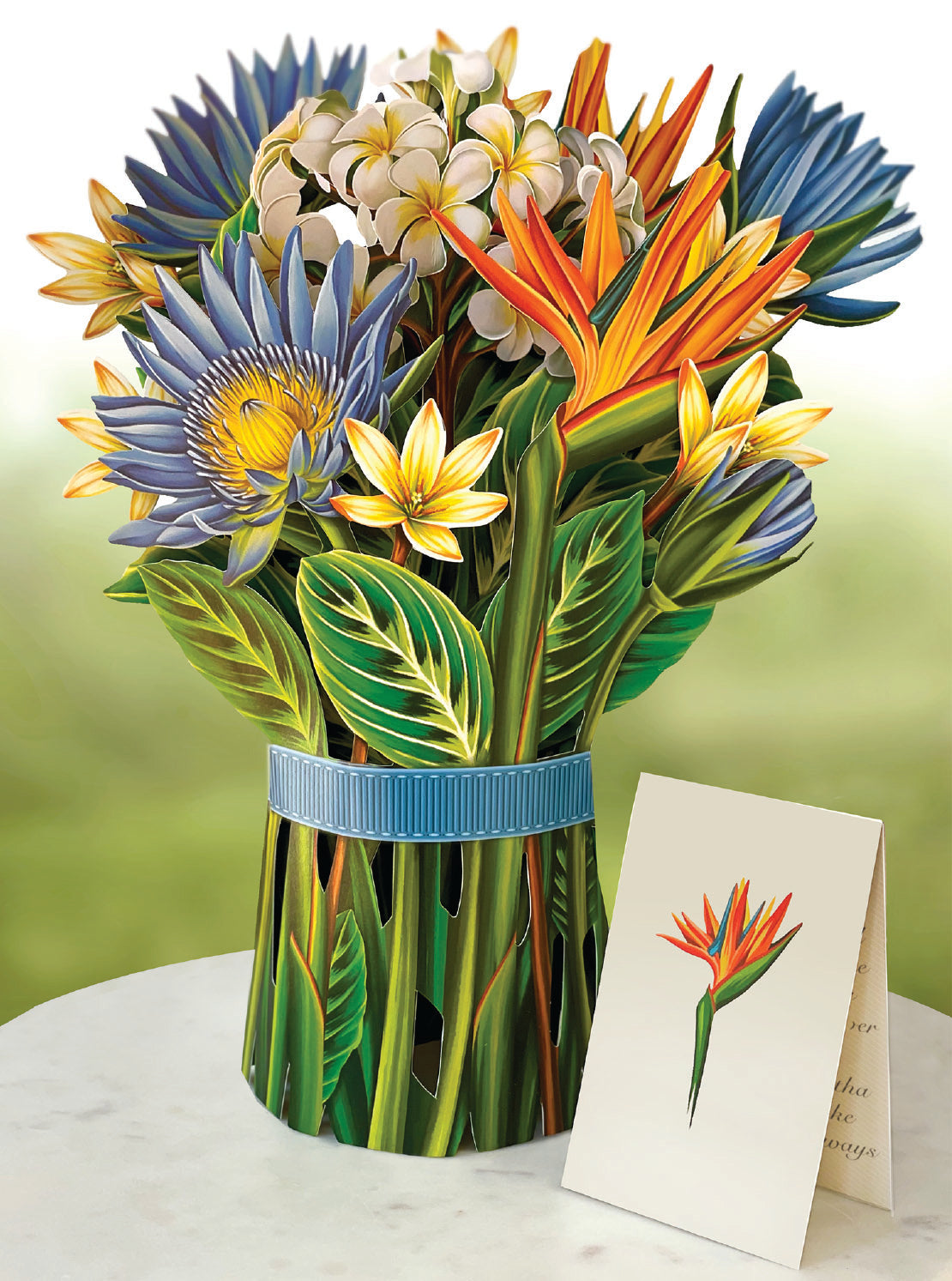 Tropical Bloom Pop Up Flower Bouquet